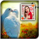 Love Birds Photo Frame APK