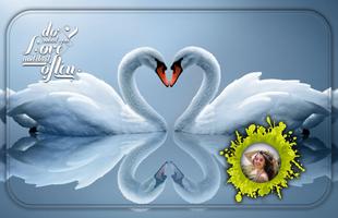 Love Birds Photo Frame ภาพหน้าจอ 3