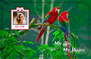 Love Birds Photo Frame تصوير الشاشة 1