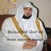 Quran by Maher Al Muaiqly