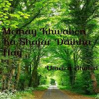 Meiny Khwabon Ka Shajr-U Ahmed Affiche