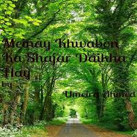 Meiny Khwabon Ka Shajr-U Ahmed 截图 1