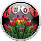 Frases de amor con hermosos tulipanes icon