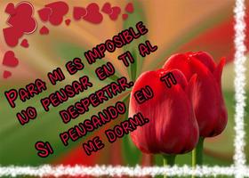 Frases de amor con hermosos tulipanes स्क्रीनशॉट 1