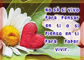 Frases de amor con margaritas captura de pantalla 1