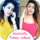 Funny Videos of Musically Status Video : Reactions APK