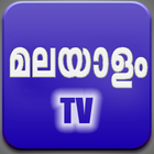 Malayalam TV - Live TV : Mobile TV آئیکن