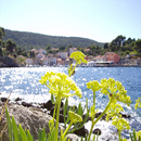 Mali Tourist Places (Guide) APK