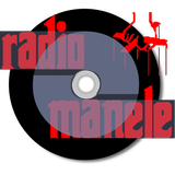 Radio Manele 2022 icône
