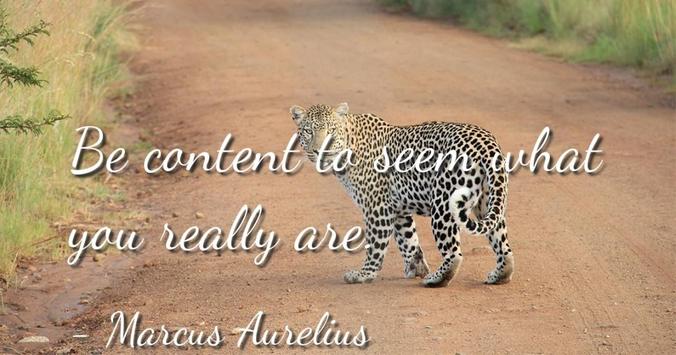 Marcus Aurelius Quotes For Android APK Download Cool Marcus Aurelius Quotes Marcus Aurelius Quotes For Android APK Download Cool Marcus Aurelius Quotes