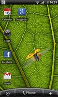 Ladybug - Live Wallpaper capture d'écran 1