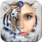 Animal Faces-Face Morphing 图标