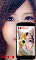 Animal Faces-Face Morphing 截图 3