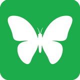 Butterfly M icon