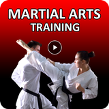 Martial Arts Training icône