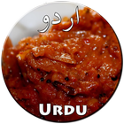 Chutney Recipes in Urdu आइकन