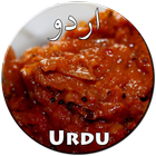 Chutney Recipes in Urdu icône