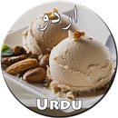 Ice Cream Recipes in Urdu APK