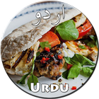 Kebabs Recipes in Urdu ícone
