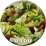 Salads Recipes in Urdu أيقونة