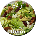 Salads Recipes in Urdu आइकन