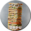 Sandwich Recipes in Urdu