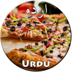 Pizza Recipes in Urdu 圖標