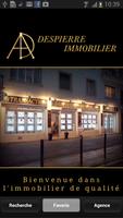 DESPIERRE IMMOBILIER Affiche