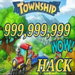 Guide Tips Township