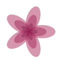 Fractal Flower