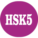 HSK 5 Simulator APK