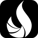 LEBO.MD APK