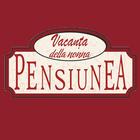 Vacanta della nonna آئیکن