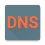 DNS Resolver