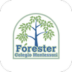 Forester Colegio Montessori