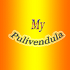 My Pulivendula icono