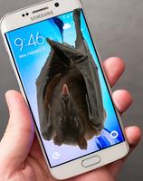 bats in phone joke imagem de tela 1