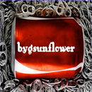 In CoCa-CoLa APK