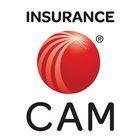 ikon LexisNexis Insurance CAM 15