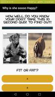 pet dog quiz games-poster