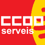 CCOO Serveis