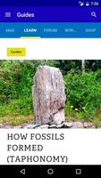 Deposits - Fossils and Rocks captura de pantalla 2