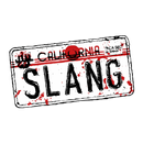 sLAng APK