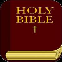 The Holy Bible Affiche