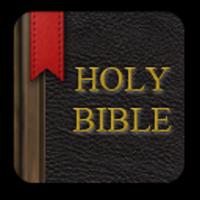 The Holy Bible Affiche