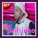APK Mc Pedrinho Funk Linda Morena