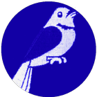 Birding Note 鳥類觀察記錄 icon
