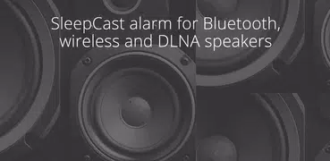 Music Alarm Clock Sleep Timer DLNA/WiFi/Bluetooth