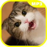 Real Cat Sounds আইকন