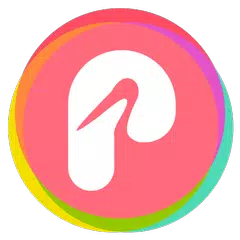 P Icon Pack APK 下載